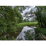 Zdjęcia użytkowników Google Pixel 8a