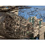 Zdjęcia użytkowników Google Pixel 8a