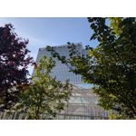 Zdjęcia użytkowników Google Pixel 8a