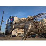 Zdjęcia użytkowników Google Pixel 8a