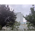 Zdjęcia użytkowników Google Pixel 8a