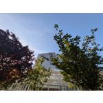 Zdjęcia użytkowników Google Pixel 8a