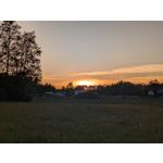 Zdjęcia użytkowników Google Pixel 8a