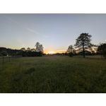 Zdjęcia użytkowników Google Pixel 8a