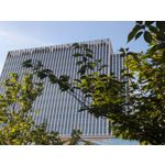 Zdjęcia użytkowników Google Pixel 8a