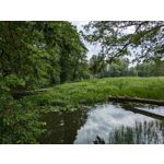 Zdjęcia użytkowników Google Pixel 8a