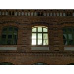 Zdjęcia użytkowników Google Pixel 8a