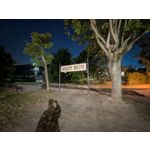 Zdjęcia użytkowników Google Pixel 8a