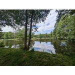 Zdjęcia użytkowników Google Pixel 8a