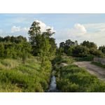 ZDJĘCIA Z TEGO TELEFONU