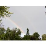 Zdjęcia użytkowników Google Pixel 8a