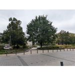 Zdjęcia użytkowników Google Pixel 9 Pro XL