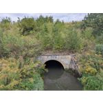 Zdjęcia użytkowników Google Pixel 9 Pro XL