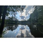 Zdjęcia użytkowników Google Pixel 9 Pro XL