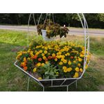 Zdjęcia użytkowników Google Pixel 9 Pro XL