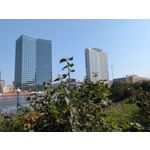 Zdjęcia użytkowników Google Pixel 9 Pro XL