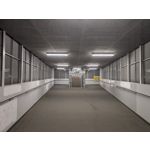 Zdjęcia użytkowników Google Pixel 9 Pro XL