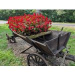 Zdjęcia użytkowników Google Pixel 9 Pro XL