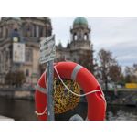 Zdjęcia użytkowników Google Pixel 9 Pro XL