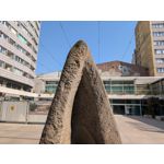 Zdjęcia użytkowników Google Pixel 9 Pro XL