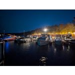 Zdjęcia użytkowników Google Pixel 9 Pro XL