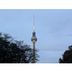 Zdjęcia użytkowników Google Pixel 9 Pro XL