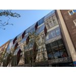 Zdjęcia użytkowników Google Pixel 9 Pro XL