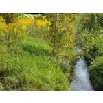 Zdjęcia użytkowników Google Pixel 9 Pro XL