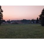 Zdjęcia użytkowników Google Pixel 9 Pro XL