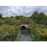 Zdjęcia użytkowników Google Pixel 9 Pro XL