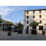 Zdjęcia użytkowników Google Pixel 9 Pro XL