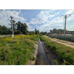 Zdjęcia użytkowników Google Pixel 9 Pro XL