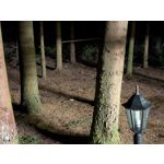 Zdjęcia użytkowników Google Pixel 9 Pro XL