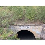 Zdjęcia użytkowników Google Pixel 9 Pro XL