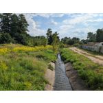 Zdjęcia użytkowników Google Pixel 9 Pro XL