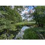 Zdjęcia użytkowników Google Pixel 9 Pro XL