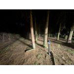 Zdjęcia użytkowników Google Pixel 9 Pro XL