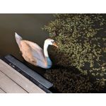 Zdjęcia użytkowników Google Pixel 9 Pro XL