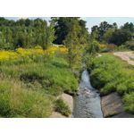 Zdjęcia użytkowników Google Pixel 9 Pro XL