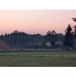 Zdjęcia użytkowników Google Pixel 9 Pro XL