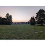 Zdjęcia użytkowników Google Pixel 9 Pro XL