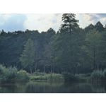 Zdjęcia użytkowników Google Pixel 9 Pro XL