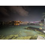 Zdjęcia użytkowników Google Pixel 9 Pro XL