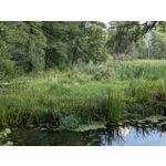 Zdjęcia użytkowników Google Pixel 9 Pro XL