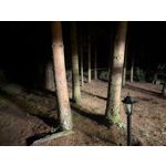 Zdjęcia użytkowników Google Pixel 9 Pro XL