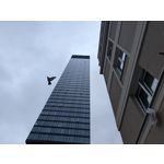 Zdjęcia użytkowników Google Pixel 9 Pro XL