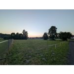 Zdjęcia użytkowników Google Pixel 9 Pro XL