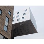 Zdjęcia użytkowników Google Pixel 9 Pro XL