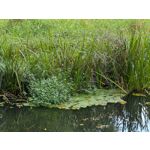 Zdjęcia użytkowników Google Pixel 9 Pro XL