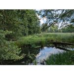 Zdjęcia użytkowników Google Pixel 9 Pro XL